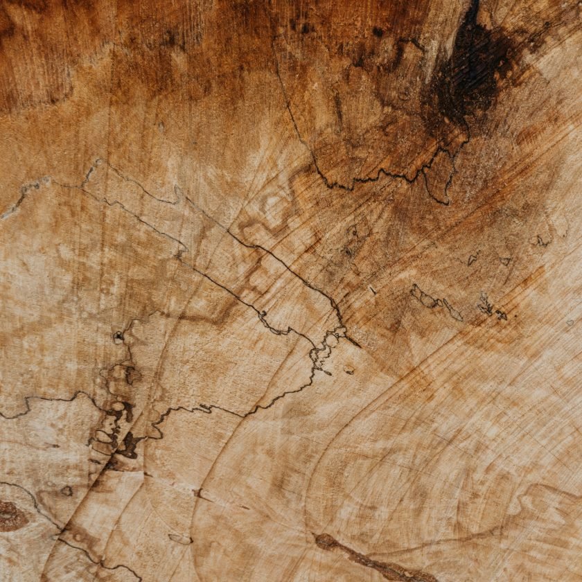Teak wood grain sample